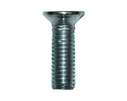 Vis pour support de vitre pour le poêle Fireplace Venezia