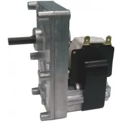 Motoreducteur 1 Rpm Cw - Ref 895701330 - Palazzetti