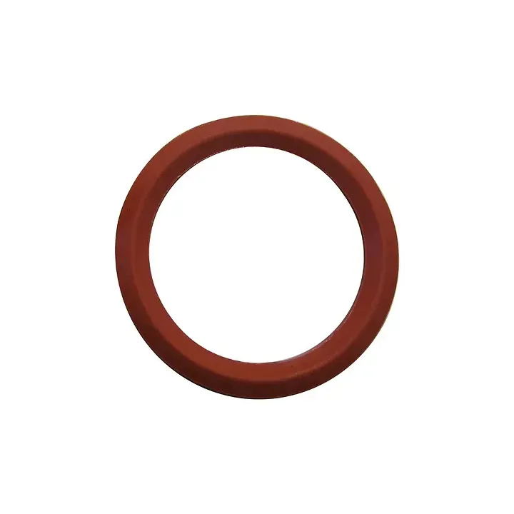 Pièce détachée Palazzetti Joint De 110 Di85 -ref 895701140 - Ersho