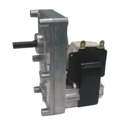 Motoreducteur 13 Rpm Cw - Ref 895700800 - Palazzetti