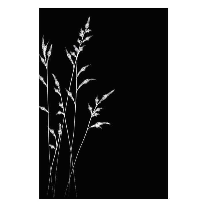 Protection murale champetre 81x100 cm pour Dixneuf - Réf 027.10708.80N3