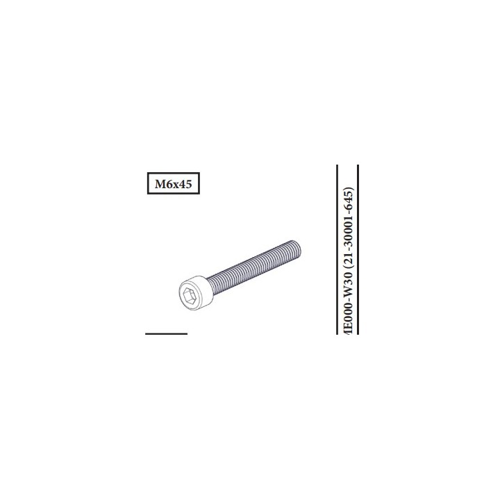 VIS M6*45 MAINTIENT DEFLECTEUR FUMEES/ VIS SUSPENSION pour Poêle à bois Nordpeis - Réf 21-30001-645