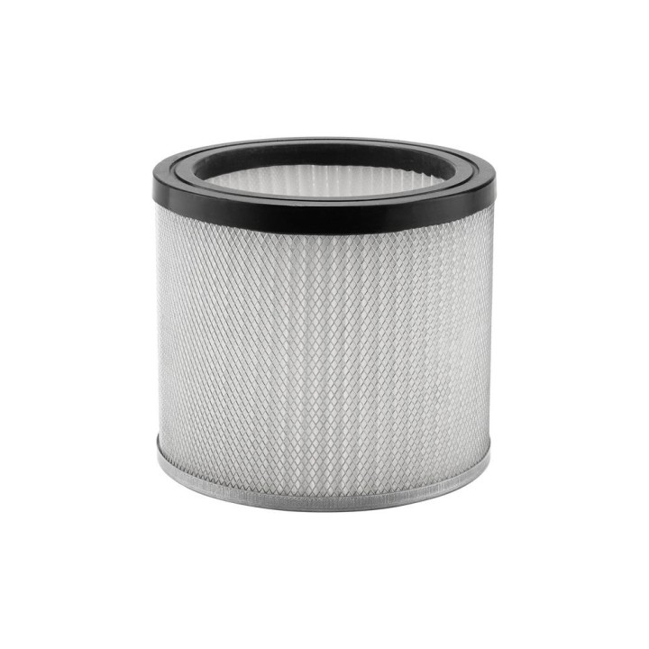 FILTRE HEPA POUR ASPIRATEUR A CENDRES 042.AAC7 pour Dixneuf - Réf 042.AAC7.F