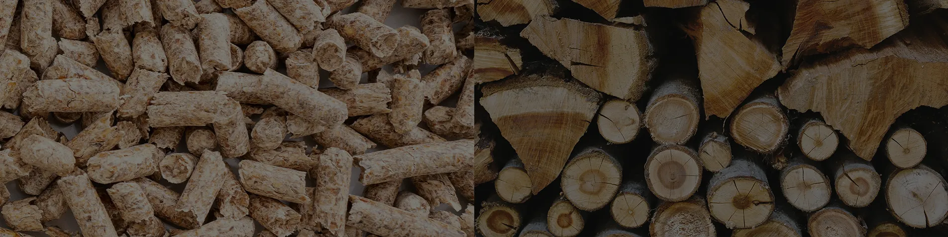 Poêle à bois ou poêle à granulés : lequel choisir pour votre maison ?
